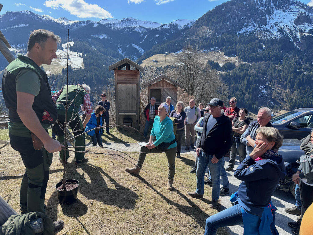 Baumschnittkurs März 2025