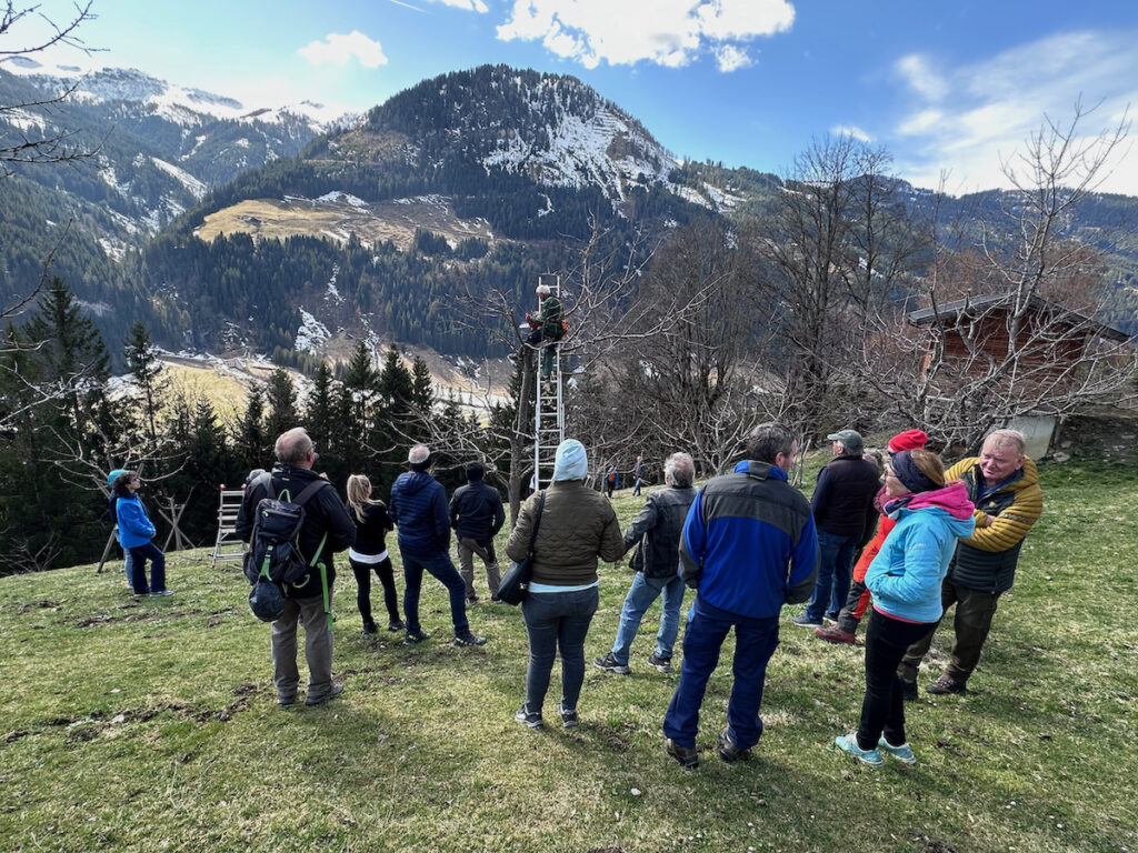Baumschnittkurs März 2025